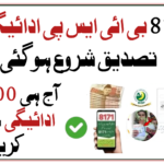 8171 BISP Payment Verification