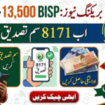 BISP 8171 SIM Verification