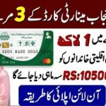 CM Punjab Minority Card Phase 3