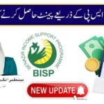 BISP 8171 Mobile Payments